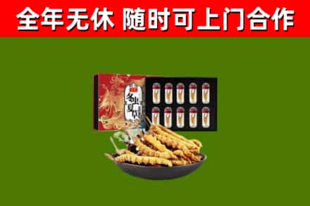 徐州烟酒回收冬虫夏草礼盒.jpg